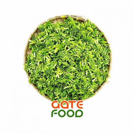 bong-thien-ly-loai-1kg