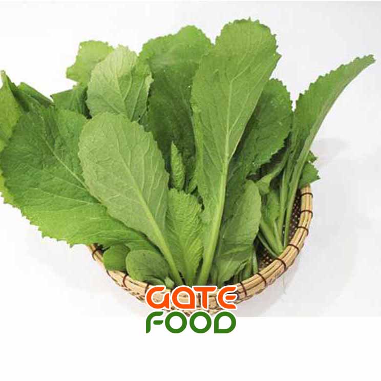cai-be-xanh-loai-1kg copy