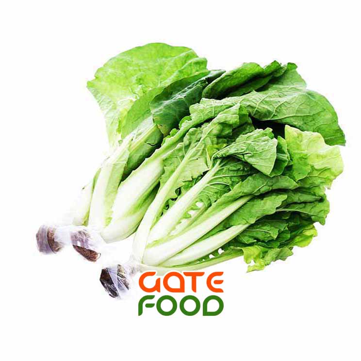 cai-dun-da-lat-loai-1kg copy