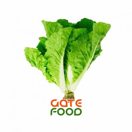 Cải dúng - Đặc điểm công dụng và món ăn