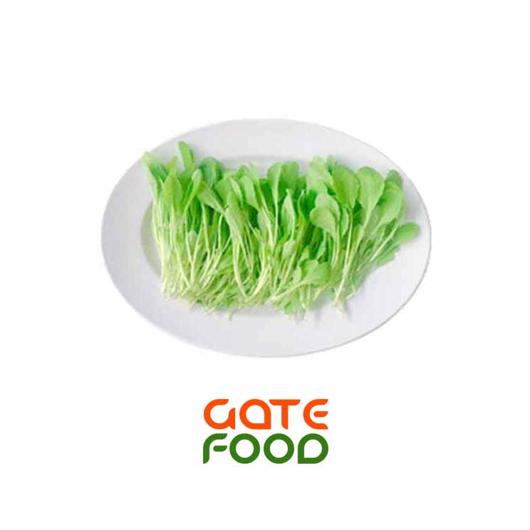 cai-xanh-con-baby-loai-1kg copy