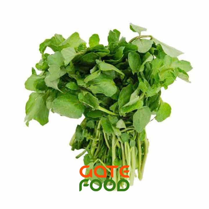 XÀ LÁCH XOONG LÁ LỚN -LOẠI 1KG - Ảnh 2