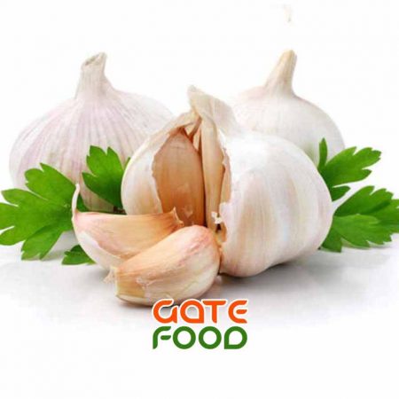 Công dụng chữa bệnh hiệu quả của tỏi
