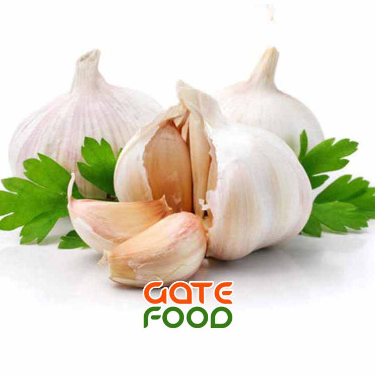 Công dụng chữa bệnh hiệu quả của tỏi
