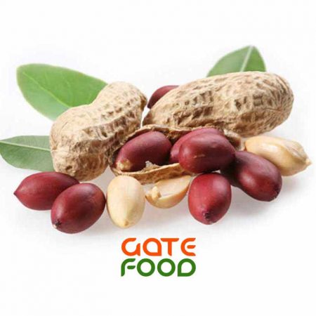 Lợi ích sức khỏe từ đậu phộng