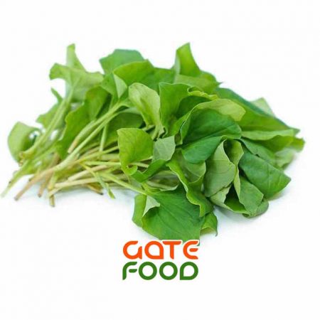Lợi ích sức khỏe của rau diếp cá