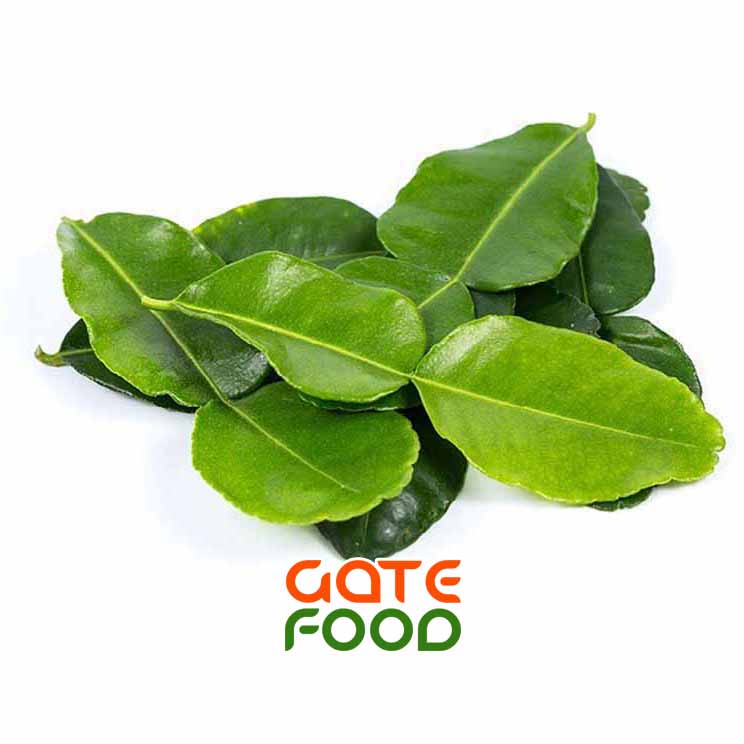 Lá chanh - Hương vị đặc biệt trong món khô gà lá chanh