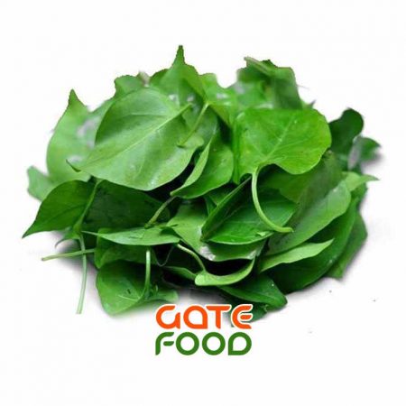 Những món ăn từ lá giang