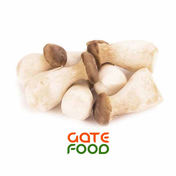 Nấm đùi gà nổi bật hơn các loại nấm khác như thế nào?