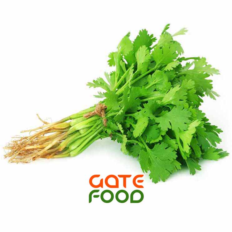 Công dụng của lá ngò rí trong ẩm thực