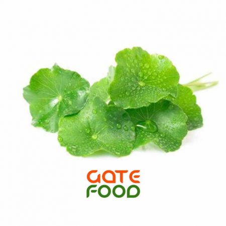 rau-ma-da-lat-loai-1kg-gia-tot