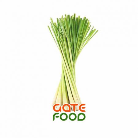 sa-cay-loai-1kg