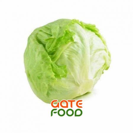 xa-lach-bup-my-da-lat-loai-1kg-chat-luong