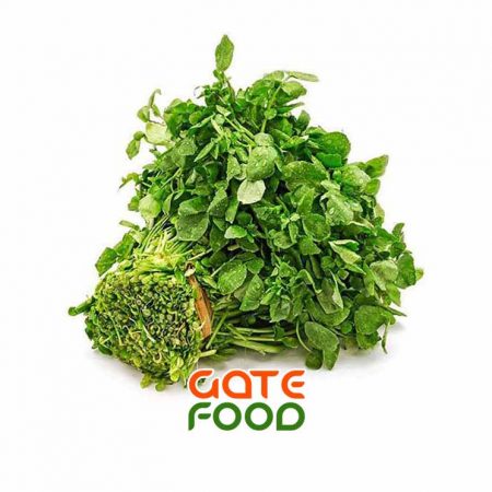 xa-lach-xoong-la-lon-loai-1kg