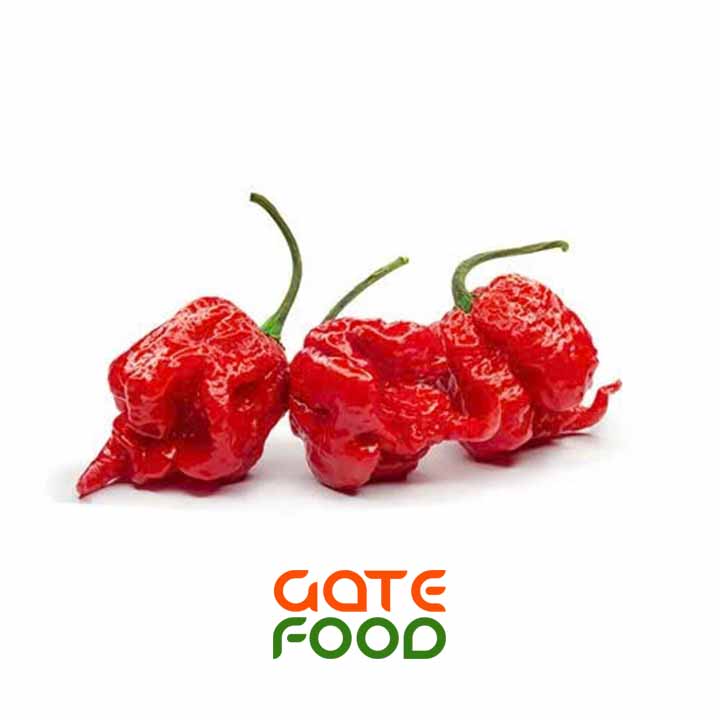 ỚT CAY CAROLINA REAPER- LOẠI 1KG