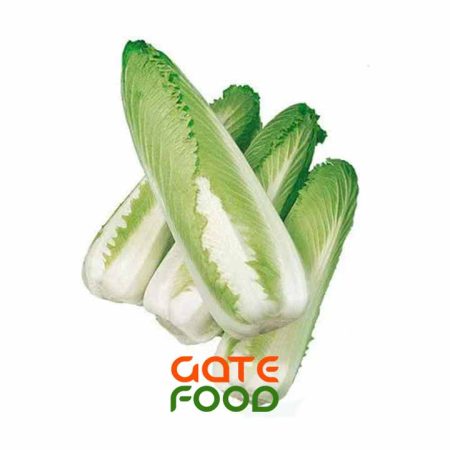 BẮP CẢI THẢO HỎA TIỄN - LOẠI 1KG