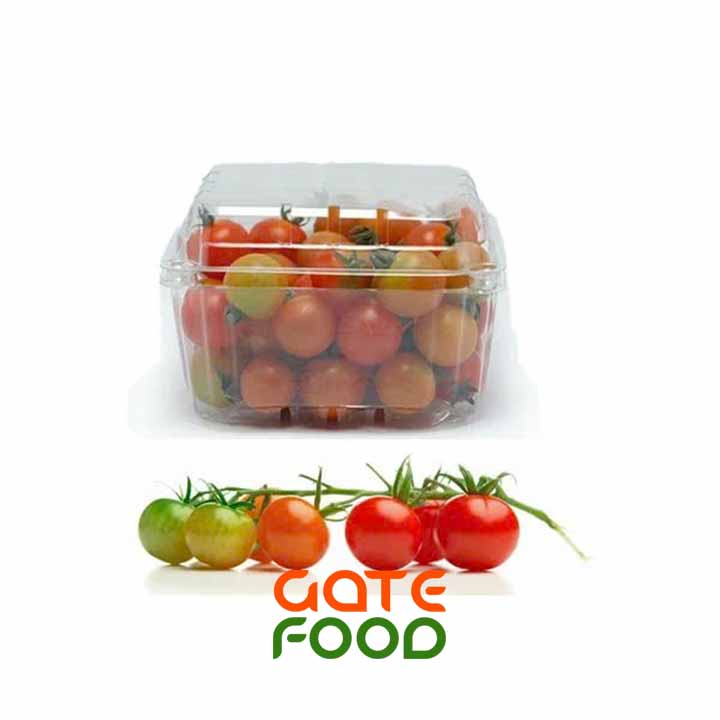 CÀ CHUA PICOTA - LOẠI 1KG