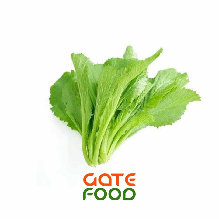 Cải xanh giống Nhật - Đặc điểm công dụng và món ăn