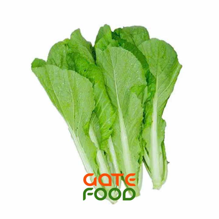 Cải xanh - Đặc điểm công dụng và món ăn