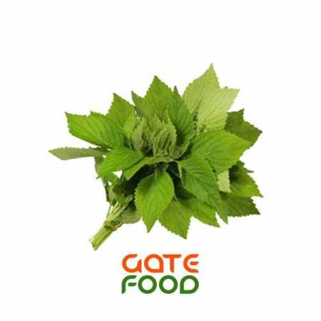 Bài thuốc dân gian từ lá kinh giới
