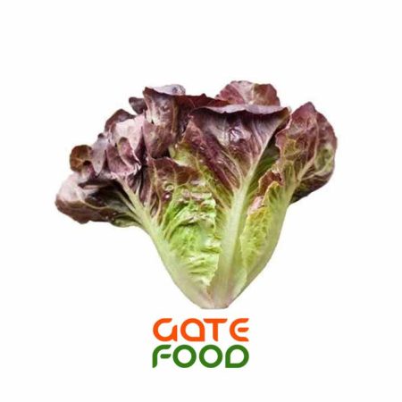 Salad xà lách búp đỏ với dâu tây và phô mai