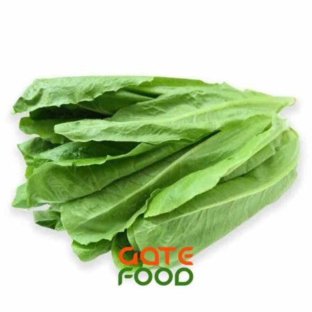 Mẹo nhỏ giúp xà lách Romaine không bị héo