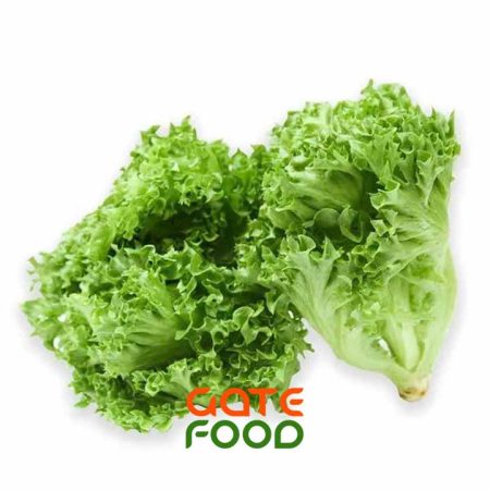 Lợi ích của xà lách Salanova đối với người muốn giảm cân
