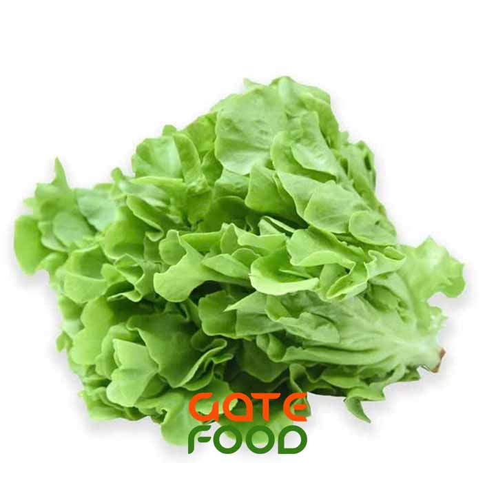 XÀ LÁCH SỒI XANH - LOẠI 1KG