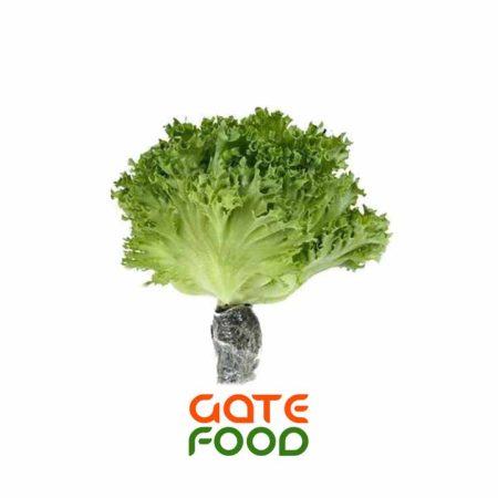 XÀ LÁCH THỦY TINH THỦY CANH - LOẠI 1KG