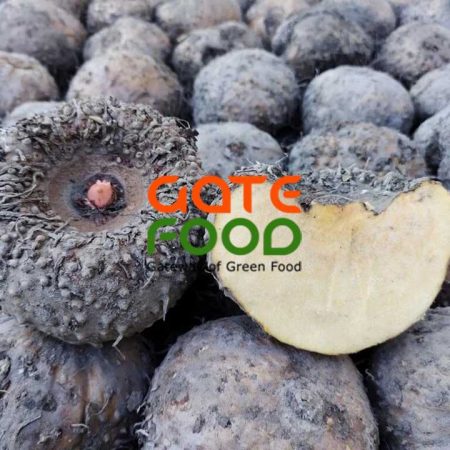 Porang được gọi với nhiều tên: củ nưa, khoai nưa, củ konjac porang