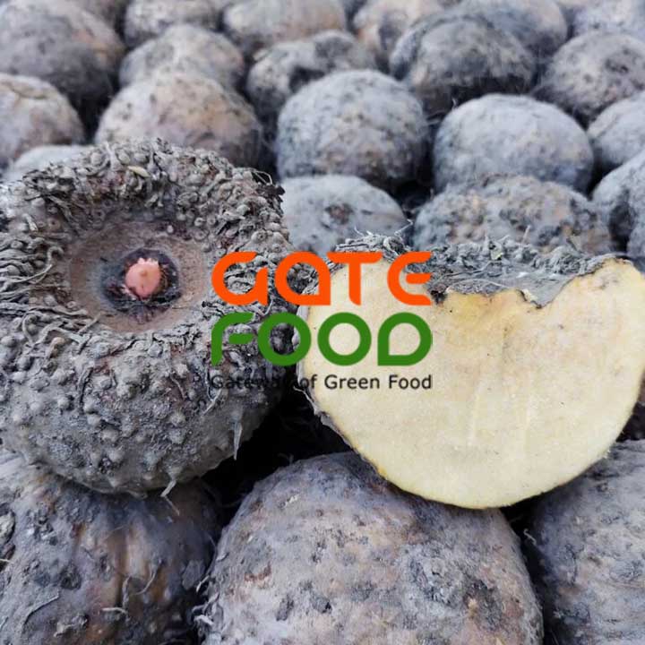 Porang được gọi với nhiều tên: củ nưa, khoai nưa, củ konjac porang
