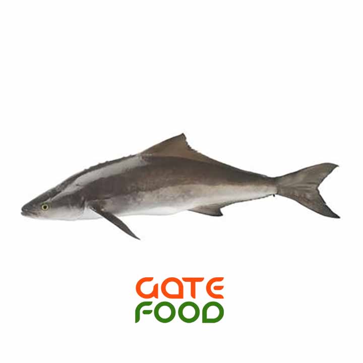 Cá Bớp-Loại 1Kg
