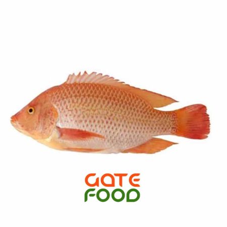 Cá Diêu Hồng-Loại 1Kg