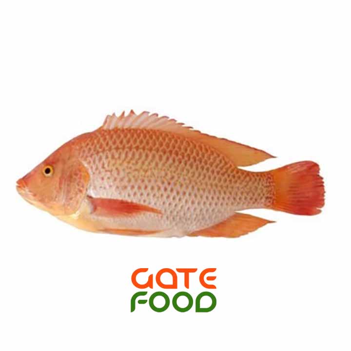 Cá Diêu Hồng-Loại 1Kg
