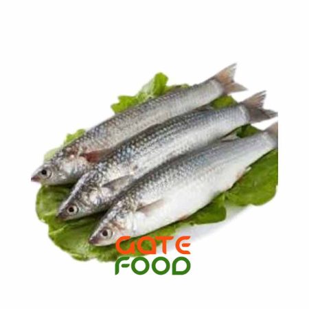Cá Đối-Loại 1Kg