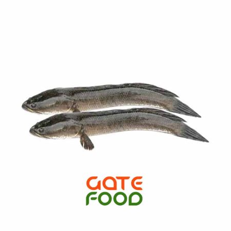 Cá Qủa(Lóc)-Loại 1Kg