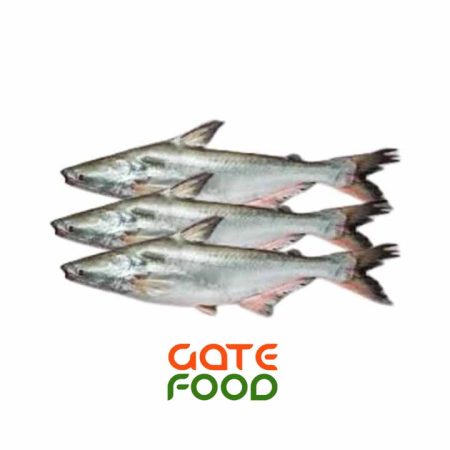 Cá Tra-Loại 1Kg
