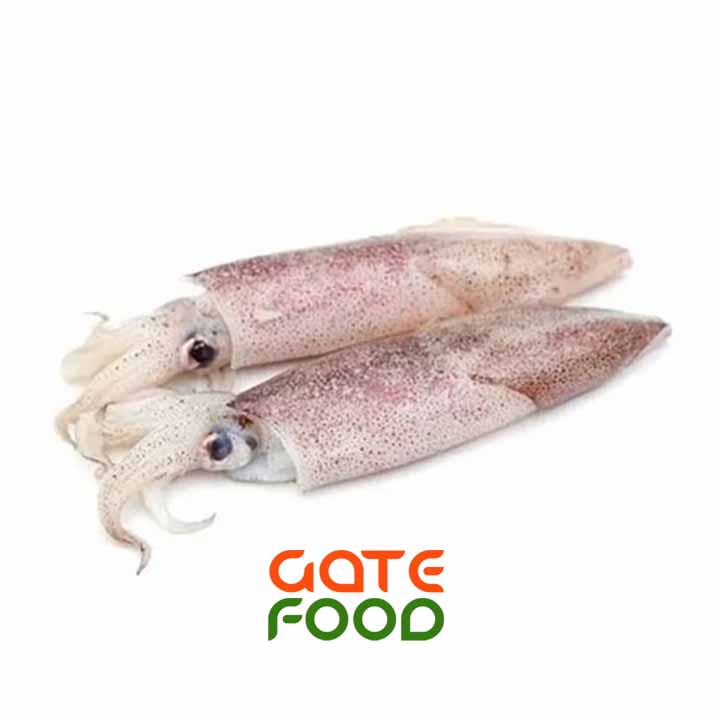 Mực Ống -Loại 1Kg