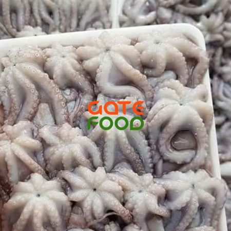 Bạch Tuộc Baby Nguyên Con Làm Sạch