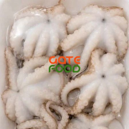 Bạch tuộc nguyên con làm sạch size lớn