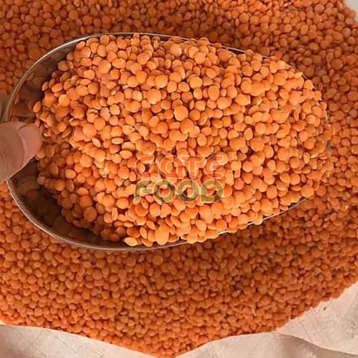 Đậu lăng đỏ (red lentils)